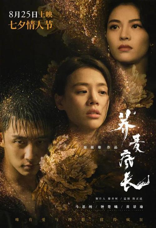 华盛顿驾驶执照假的多少钱